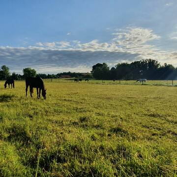 Bild: Stall in  Oberhaching
