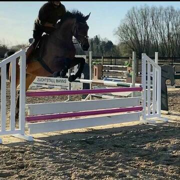 Bild: Stall in  Willich