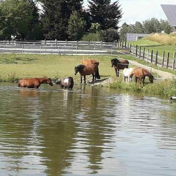 Bild: Stall in  Winklarn
