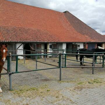 Bild: Stall in  Langelsheim