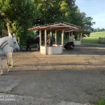 Bild: Stall in  Glonn