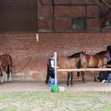 Bild: Stall in  Niedere Börde