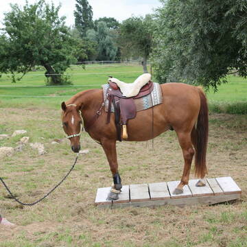 Bild: Service in  Hochheim