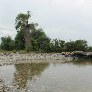 Bild: Service in  Hochheim