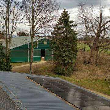 Reithalle + Führanlage