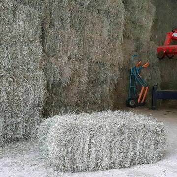 Bild: Futter & Einstreu in  Marquartstein