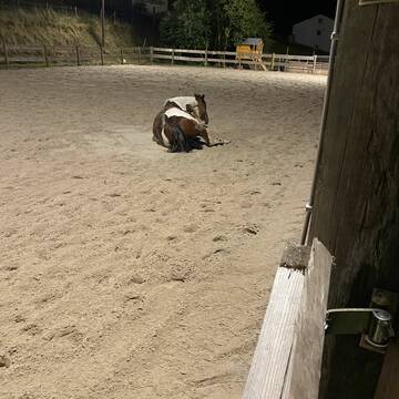 Bild: Stall in  Bad Münstereifel