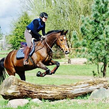 Bild: Service in  Altona-Altstadt