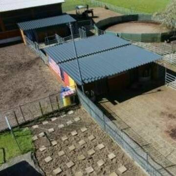 Bild: Stall in  Illmensee