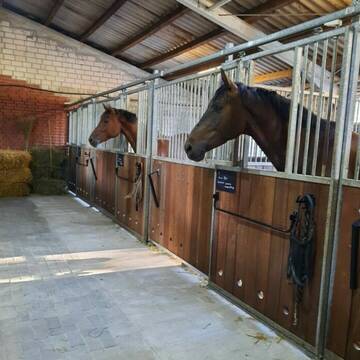 Bild: Stall in  Oeding