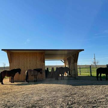 Bild: Stall in  Kleinberghofen