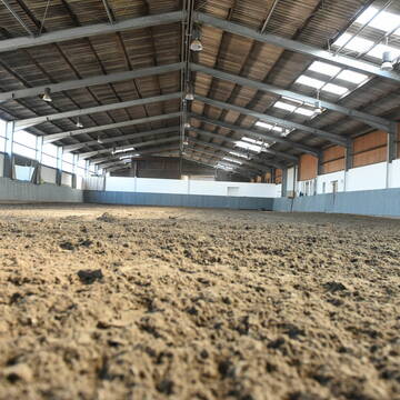 Bild: Stall in  Tiddische