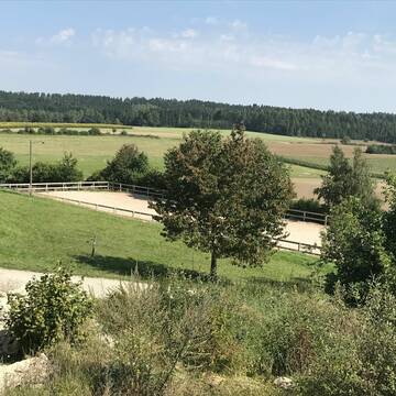 Bild: Stall in  Königsfeld