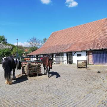 Bild: Stall in  Langelsheim