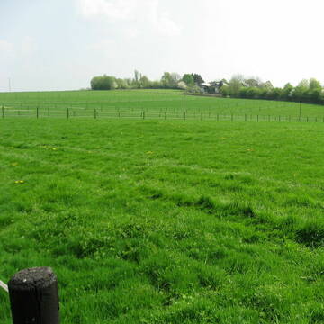 Bild: Stall in  Mettmann