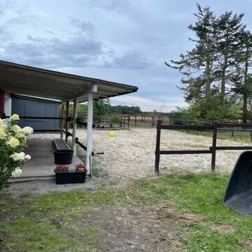Veranda mit Blick auf einen Paddockbereich