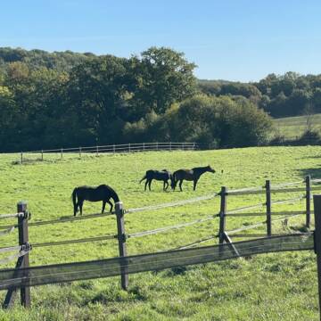 Bild: Stall in  Schwentinental