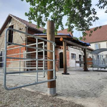 Jungpferdeoffenstall