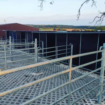 Bild: Stall in  Bitburg