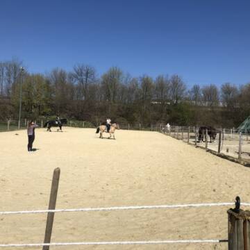 Bild: Stall in  Werne