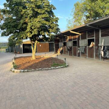 Bild: Stall in  Hemmingen