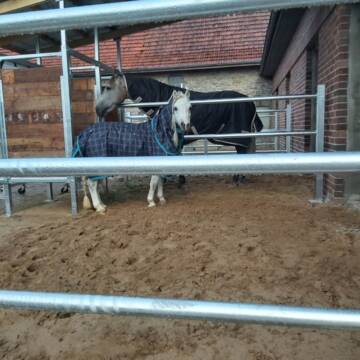 Bild: Stall in  Melle