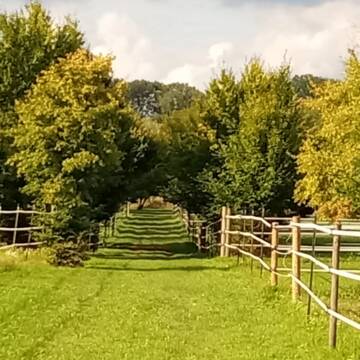 Bild: Stall in  Wang