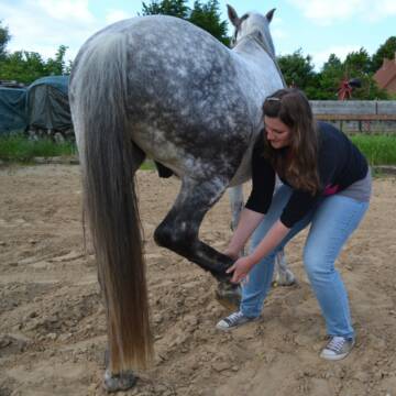 Bild: Service in  Struxdorf