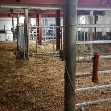 Großer Laufstall mit Fressraufe