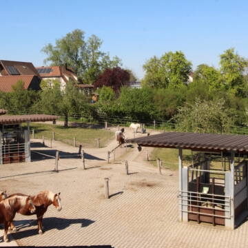 Bild: Stall in  Gschlachtenbretzingen