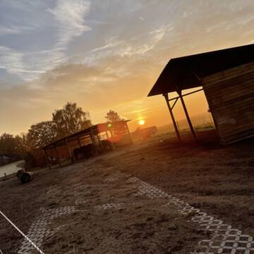 Bild: Stall in  Kilianstädten