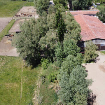 Bild: Stall in  Bötzow