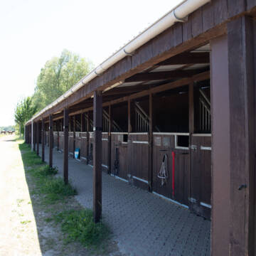Bild: Stall in  Bötzow