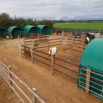 Bild: Stall in  Elsdorf