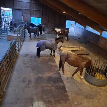 Bild: Stall in  Stuckenbusch