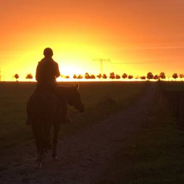 Bild: Stall in  Zossen