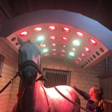 Bild: Stall in  Zossen