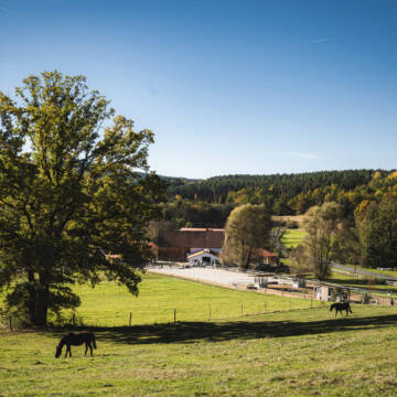 Bild: Stall in  Wüstenbuchau