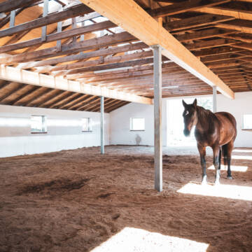 Bild: Stall in  Wüstenbuchau