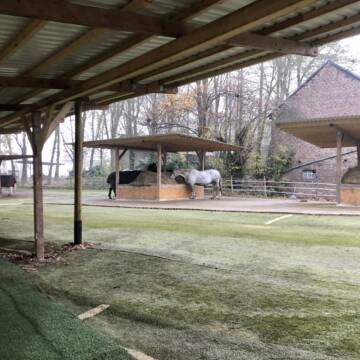 Bild: Stall in  Titz