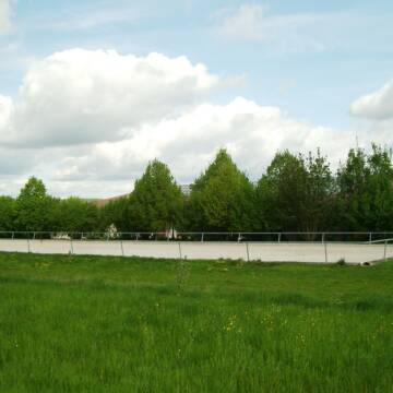 Bild: Stall in  Murr