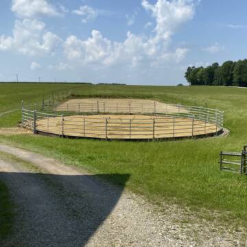 Reitplatz und Roundpen
