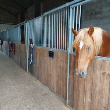 Bild: Stall in  Krinkhof