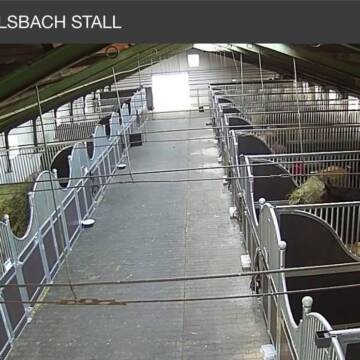 VideoÜberwachung Stall