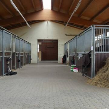Bild: Stall in  Miel
