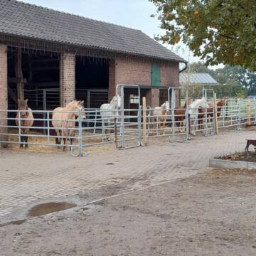 Bild: Stall in  Raesfeld