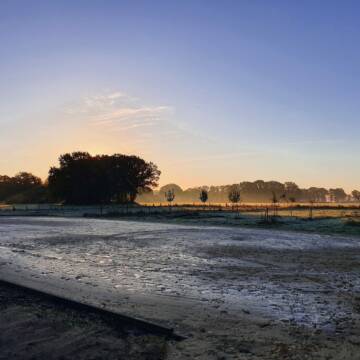 Bild: Stall in  Raesfeld