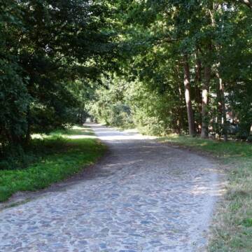 Bild: Stall in  Handorf