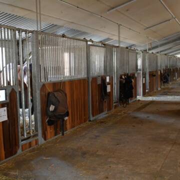 Bild: Stall in  Handorf