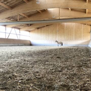 Neue Halle 20 x 40m - oder teilbar in 2 Hallen